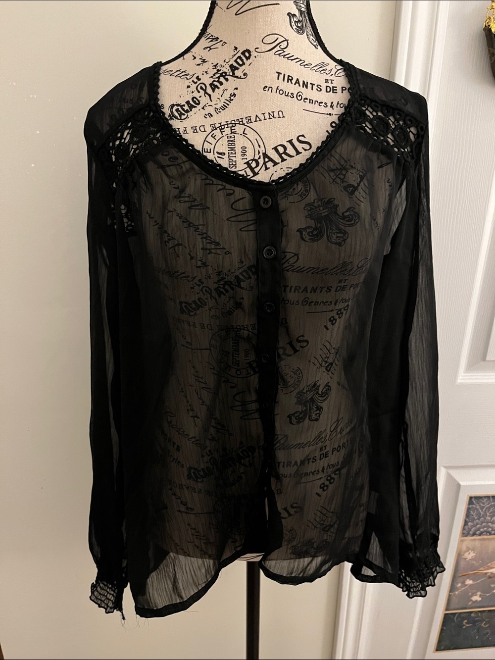 😃Women's Sheer Black Lace-Trim Button-Front Blouse